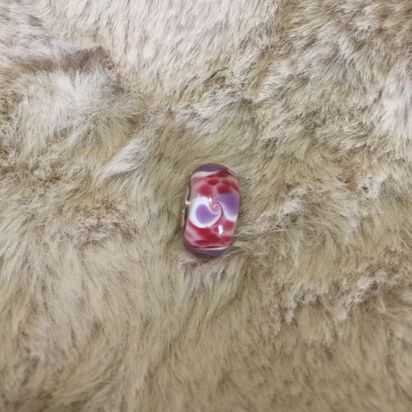 🌷European Charm Beads - Picture 7 of 8